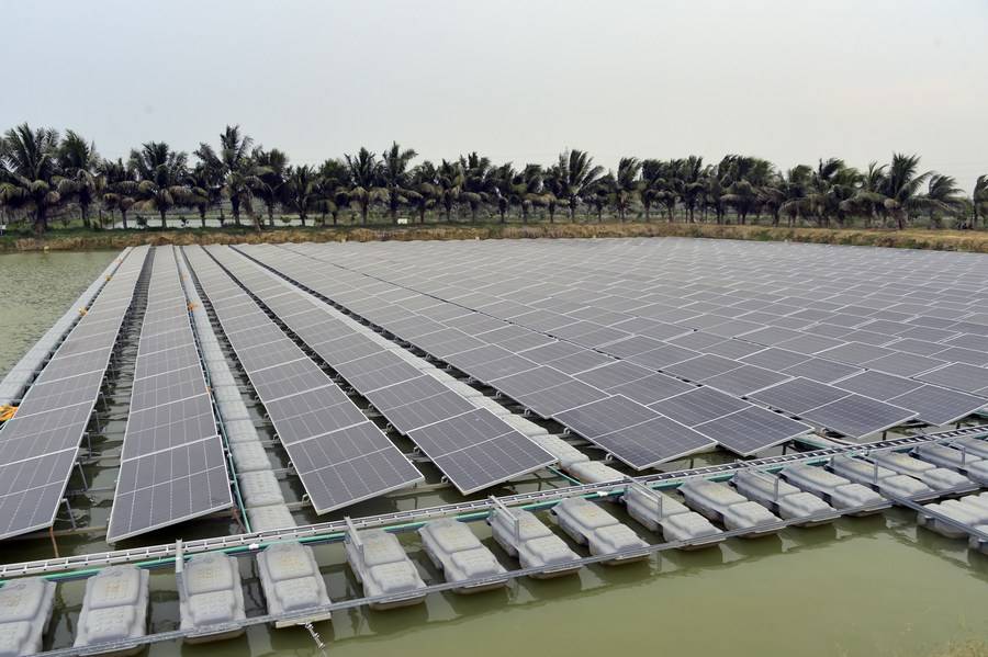 Solar Solutions for Fisheries